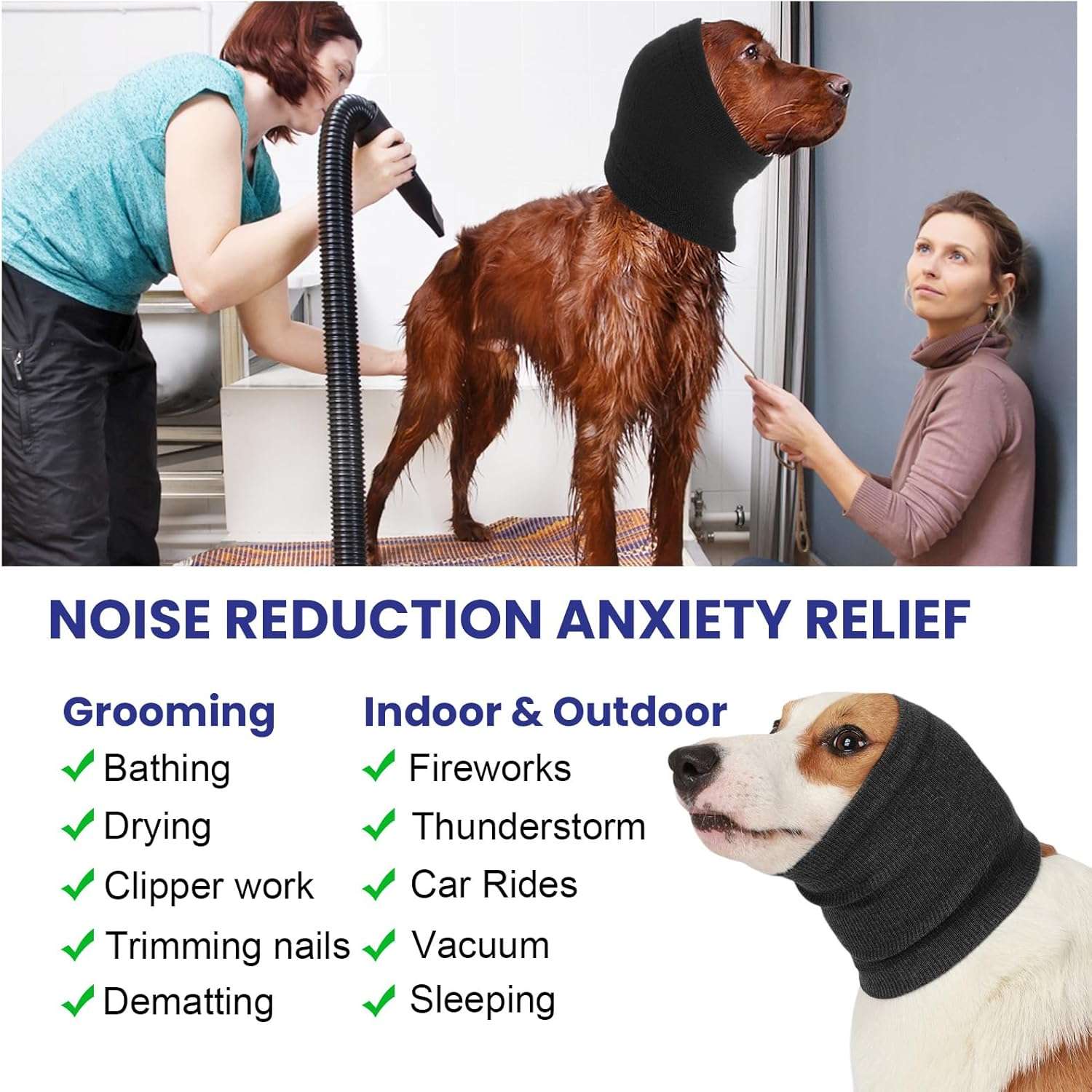 Pack 4 orejeras perro banda elastica secador baño anti ruido colores surtidos grooming