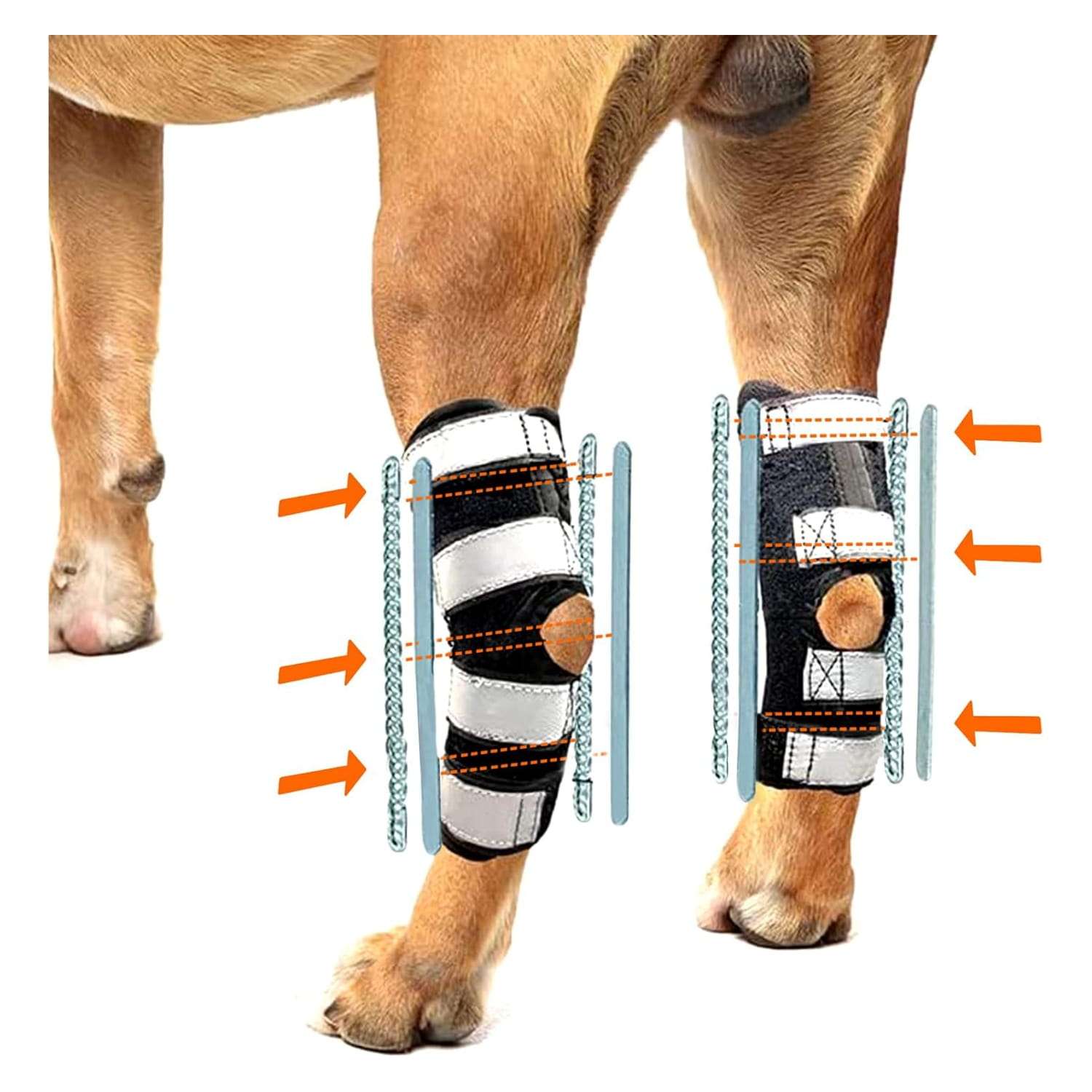 Férula ortopédica 3 en 1 para tobillo de perro con barras metálicas y de resorte intercambiables.