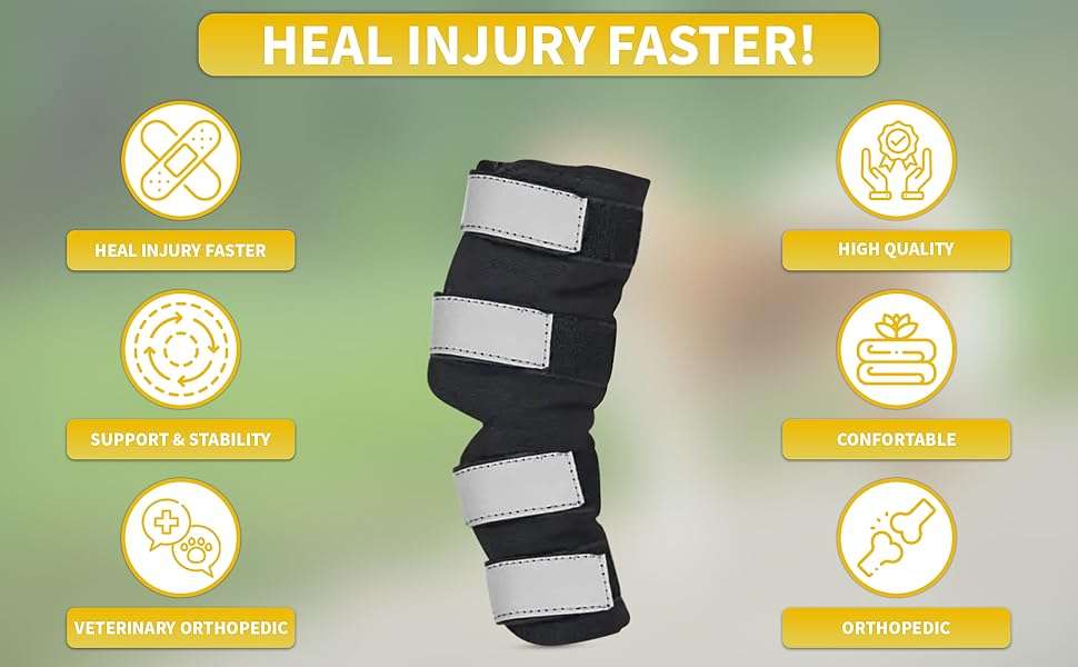 Par ferulas perro corvejon tobillo soporte metalico artritis esguince patas traseras