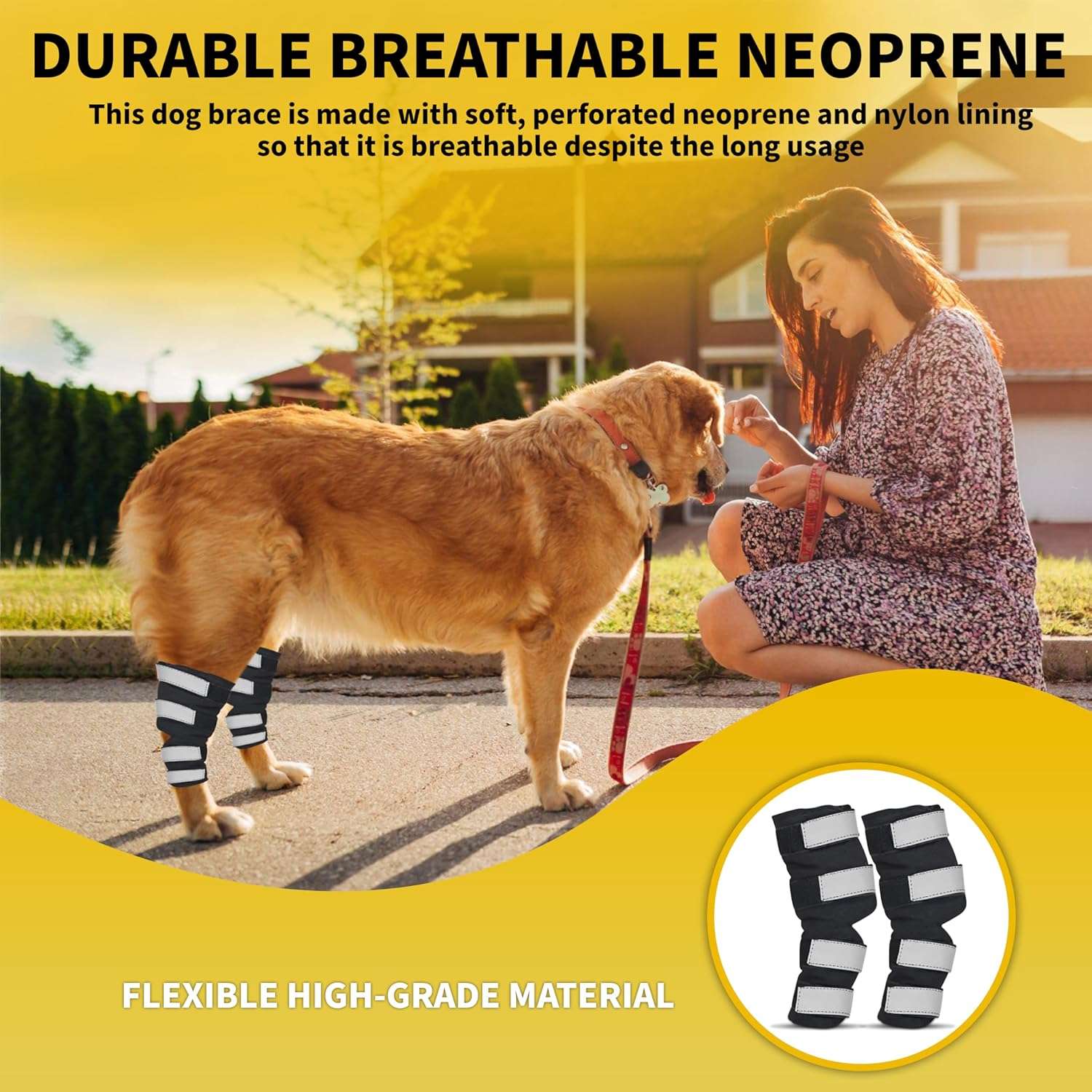 Par ferulas perro corvejon tobillo soporte metalico artritis esguince patas traseras