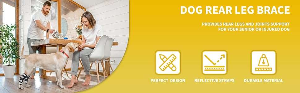 Par ferulas perro corvejon tobillo soporte metalico artritis esguince patas traseras