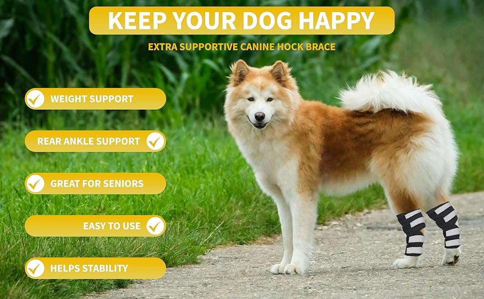 Par ferulas perro corvejon tobillo soporte metalico artritis esguince patas traseras