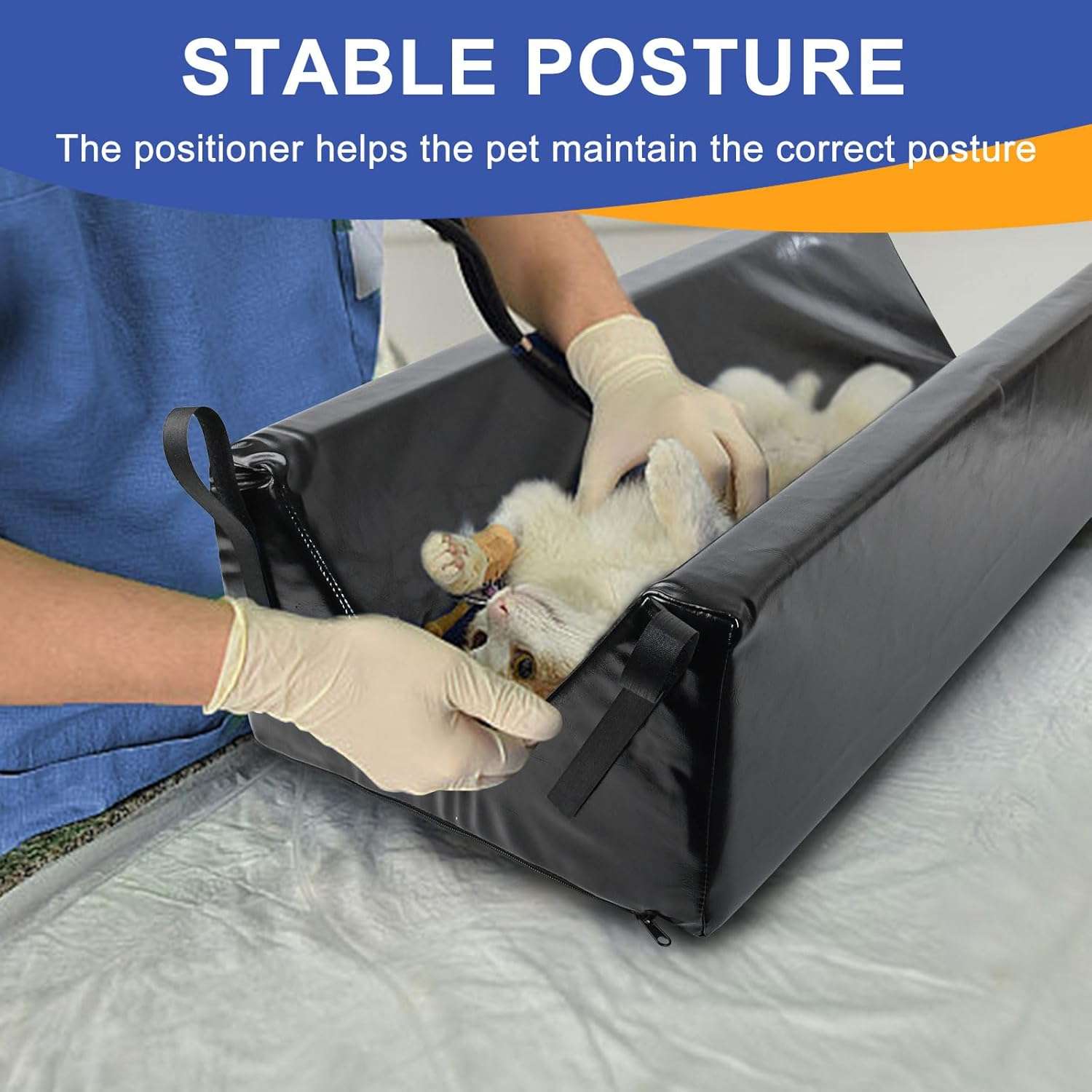 Posicionador veterinario tipo V profundo e impermeable con correas para ecografias y rayos X de mascotas.