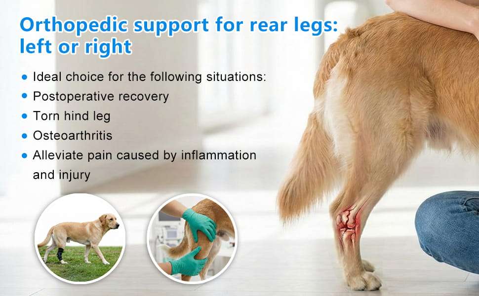 Rodillera ortopedica perro ligamento cruzado ACL rotula abierta neopreno tallas M y L