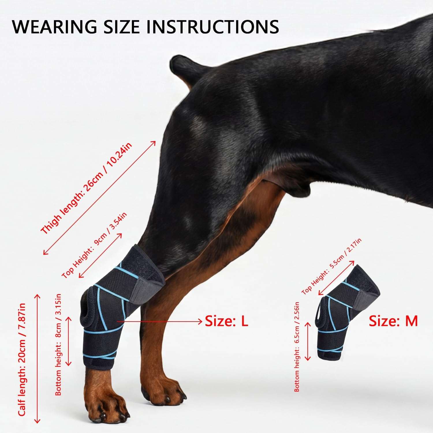 Rodillera ortopedica perro ligamento cruzado ACL rotula abierta neopreno tallas M y L