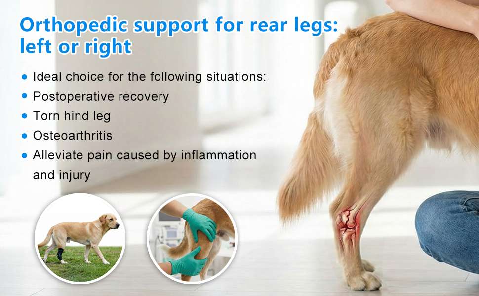 Rodillera ortopedica perro ligamento cruzado ACL rotula abierta neopreno tallas M y L