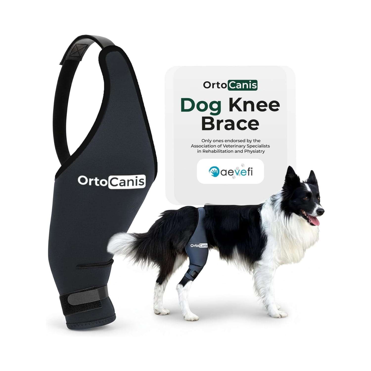 Rodillera ortopedica perro ortocanis ligamento cruzado rotula artrosis recuperacion termica