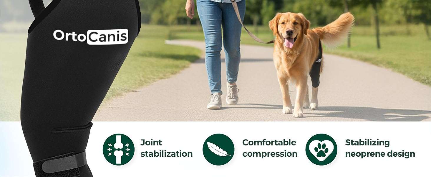 Rodillera ortopedica perro ortocanis ligamento cruzado rotula artrosis recuperacion termica