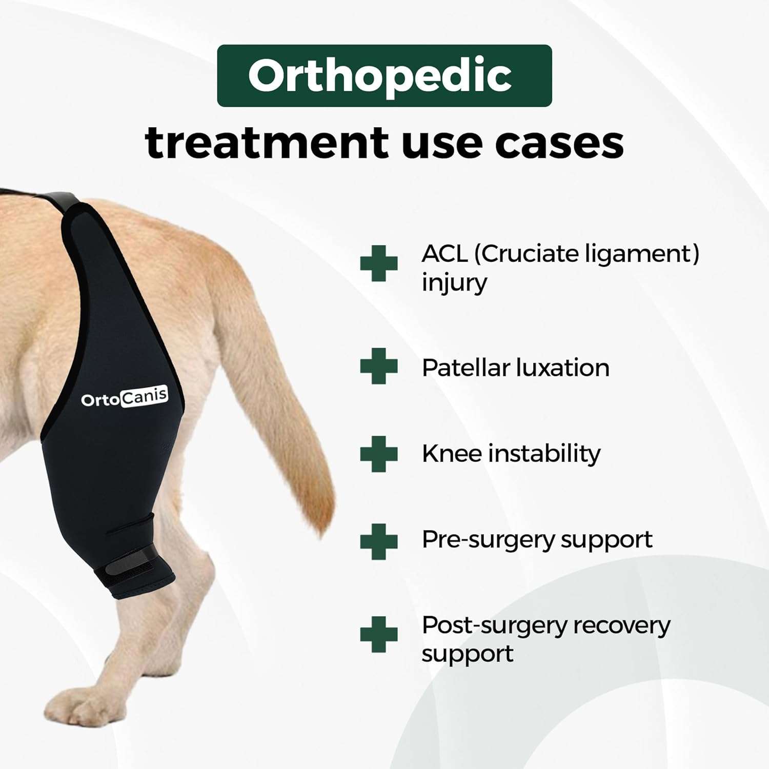 Rodillera ortopedica perro ortocanis ligamento cruzado rotula artrosis recuperacion termica