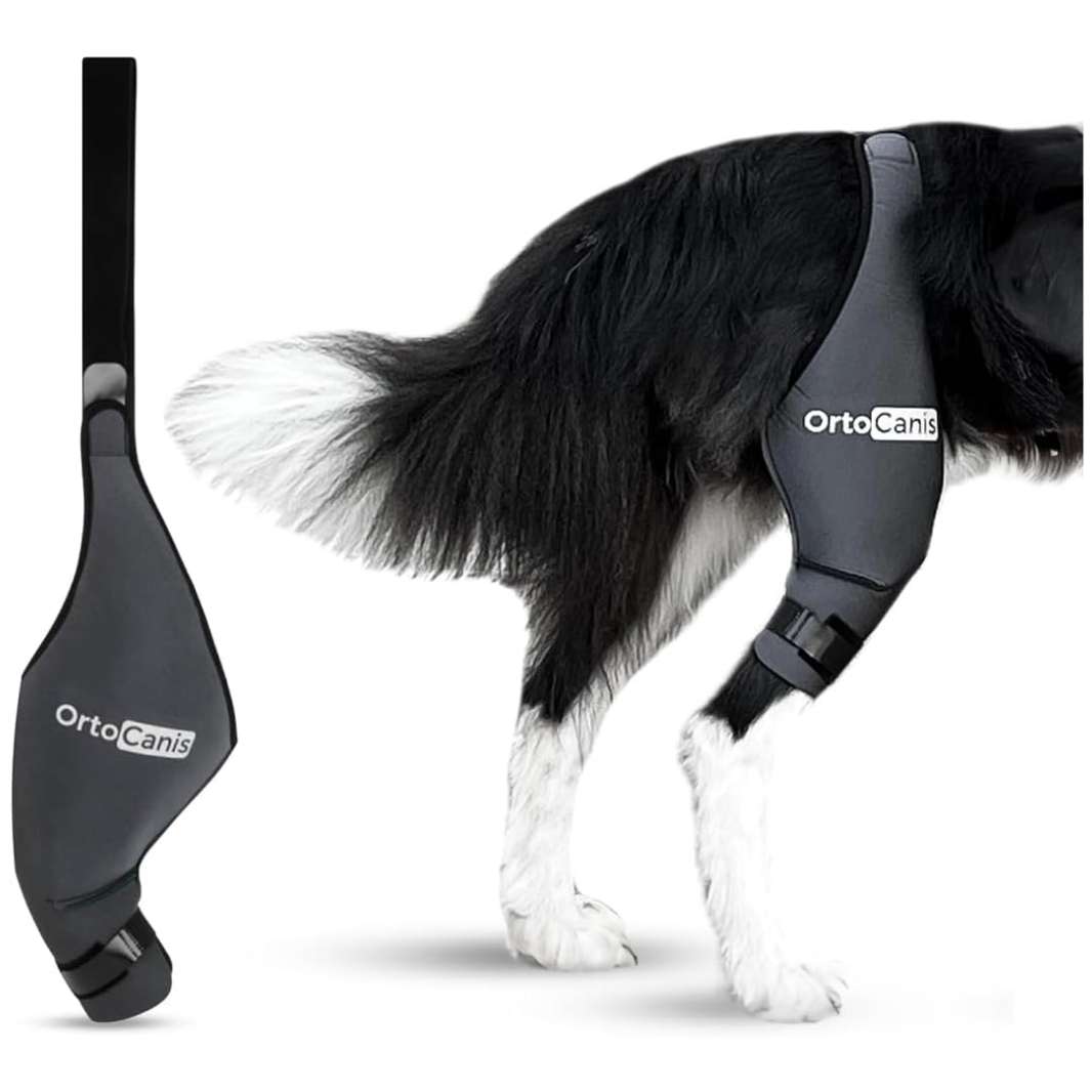 Rodillera ortopedica perro ortocanis ligamento cruzado rotula artrosis recuperacion termica