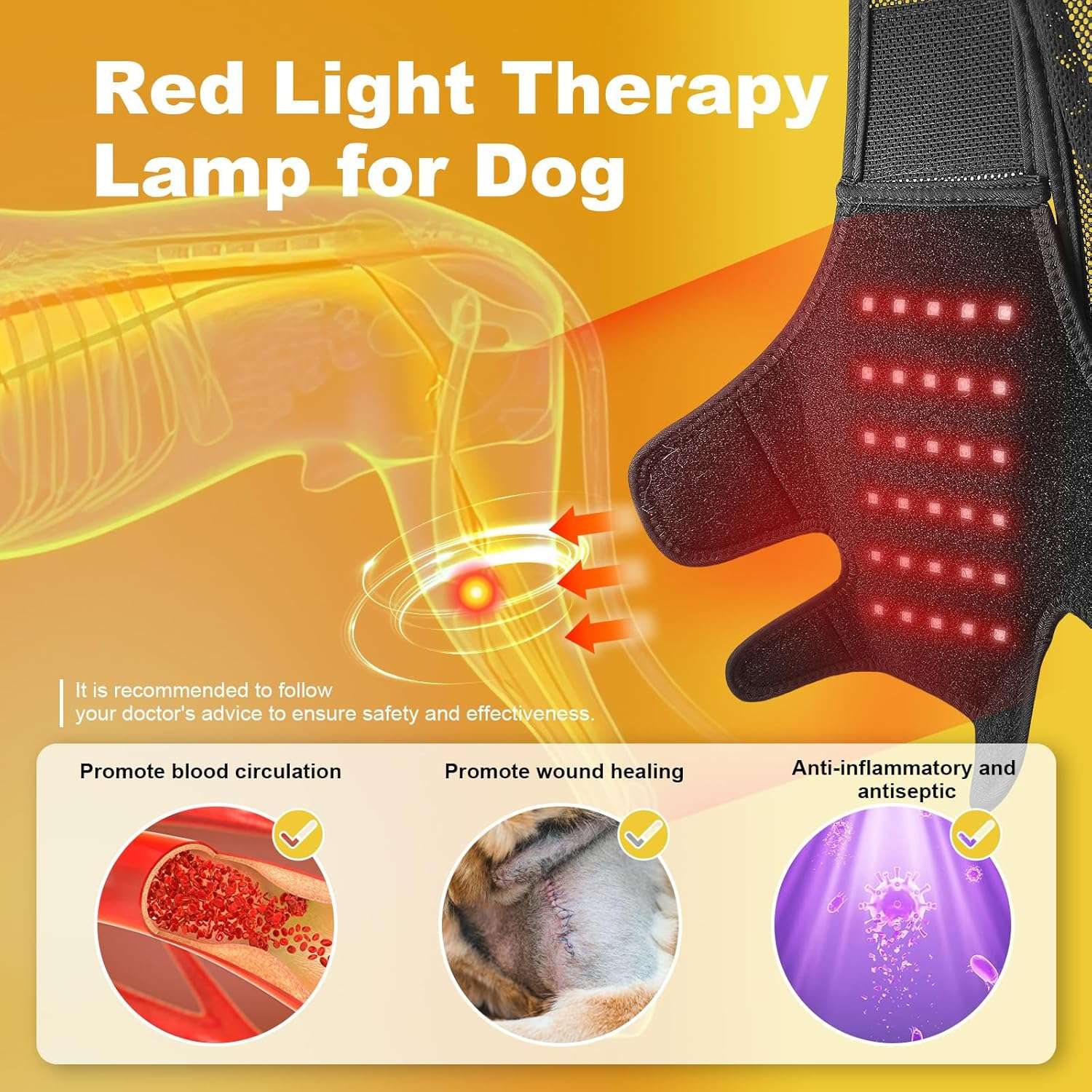 Rodillera perro luz roja infrarroja terapia artritis ligamentos desgarro recuperacion