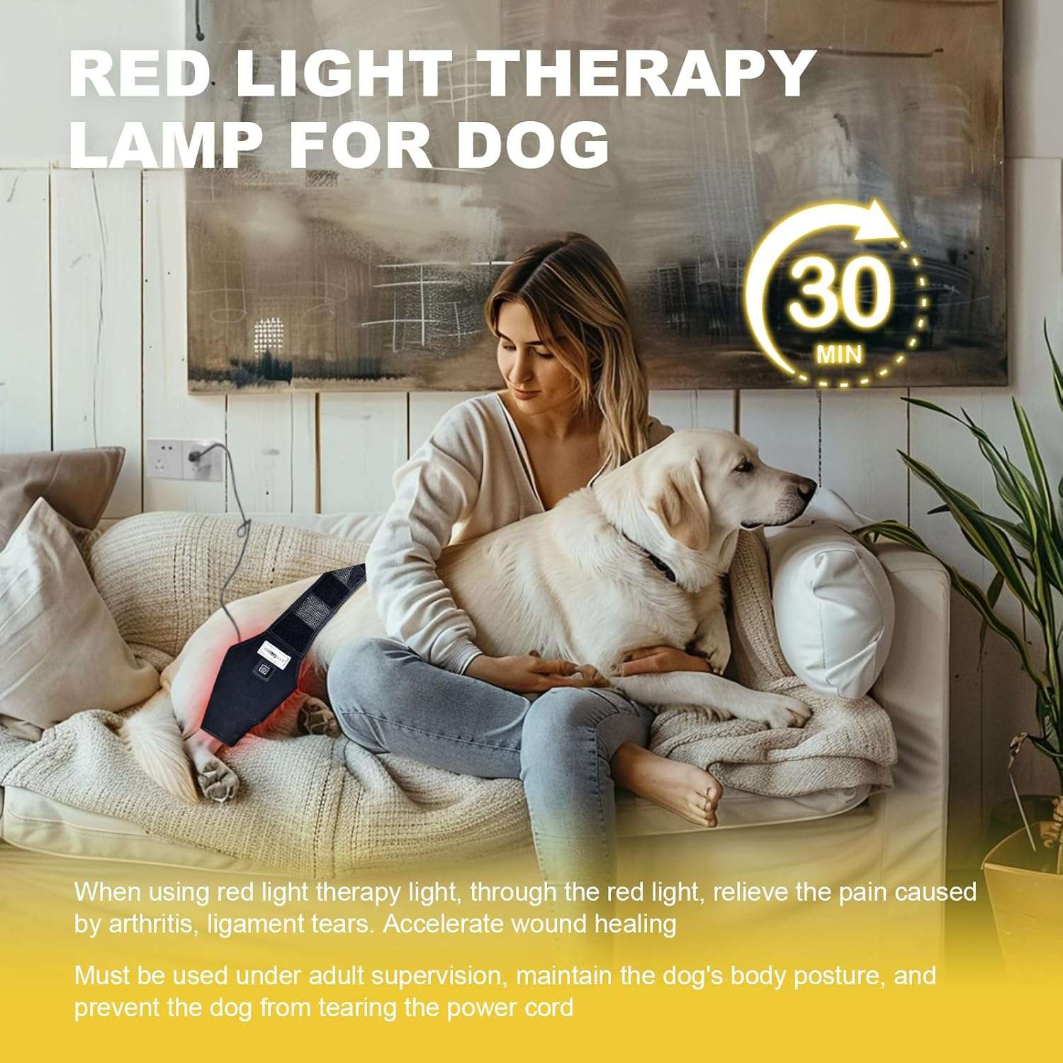 Rodillera perro luz roja infrarroja terapia artritis ligamentos desgarro recuperacion