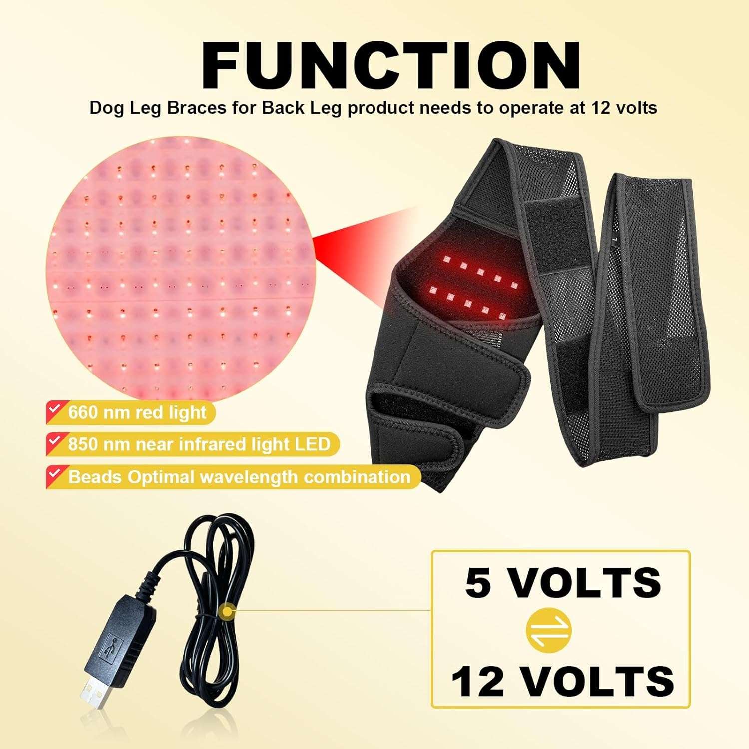 Rodillera perro luz roja infrarroja terapia artritis ligamentos desgarro recuperacion