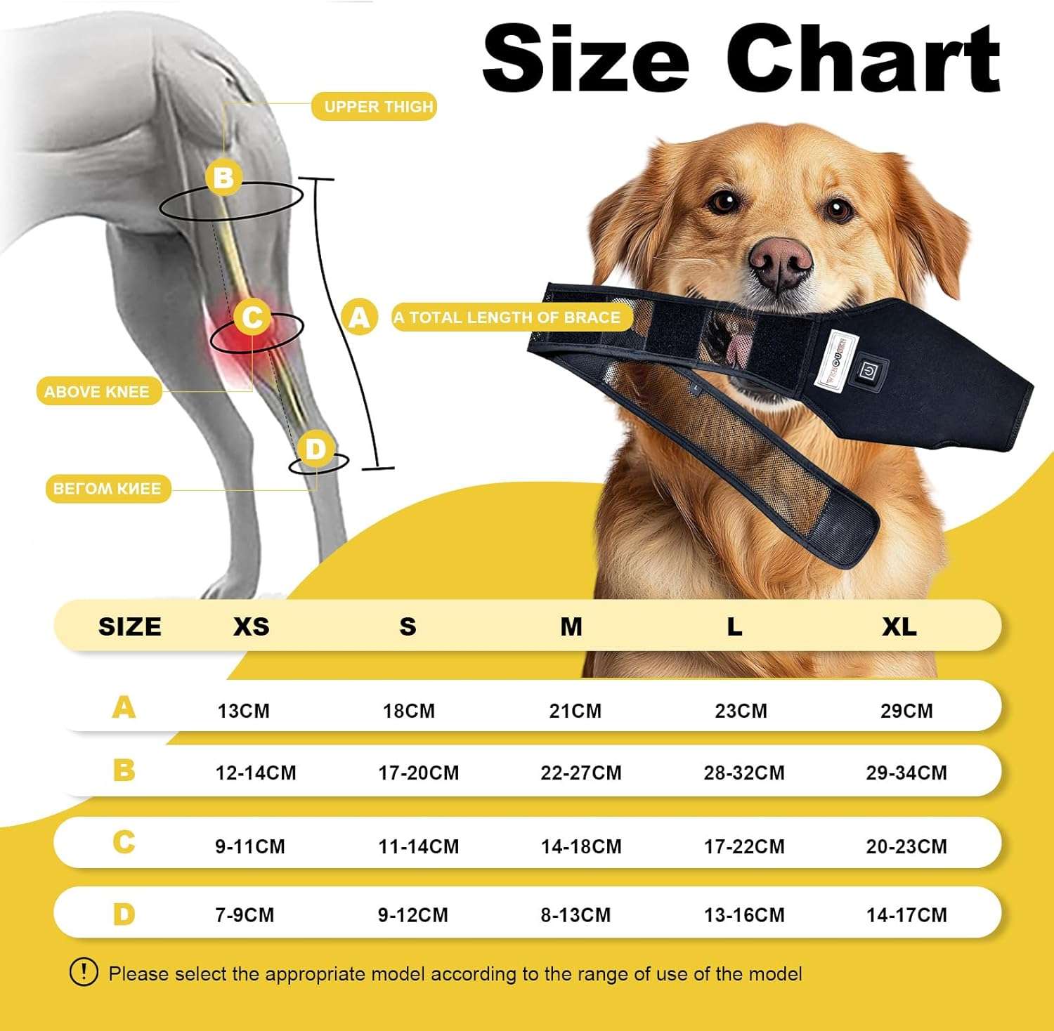 Rodillera perro luz roja infrarroja terapia artritis ligamentos desgarro recuperacion