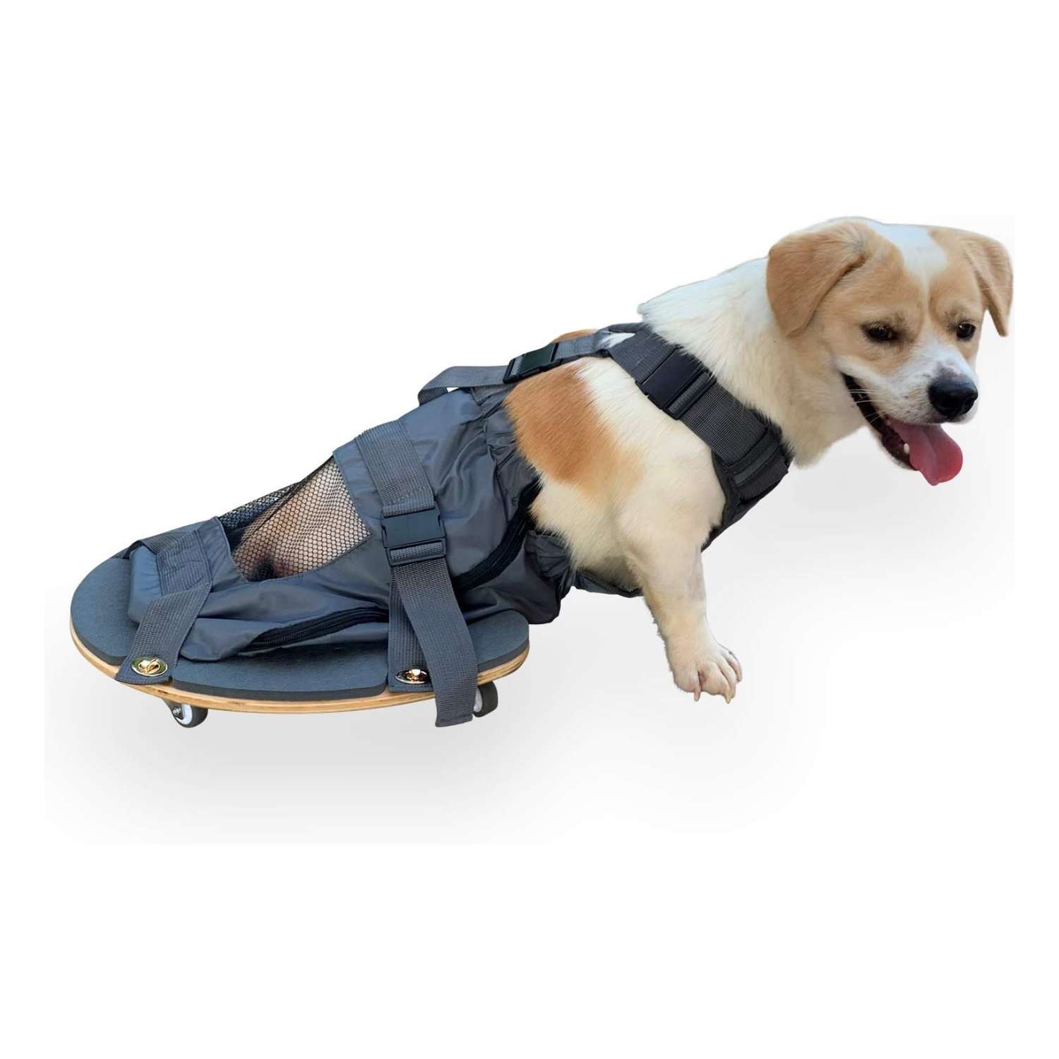 Scooter arrastre perro paralizado bolsa ruedas 360 descanso indoor proteccion patas