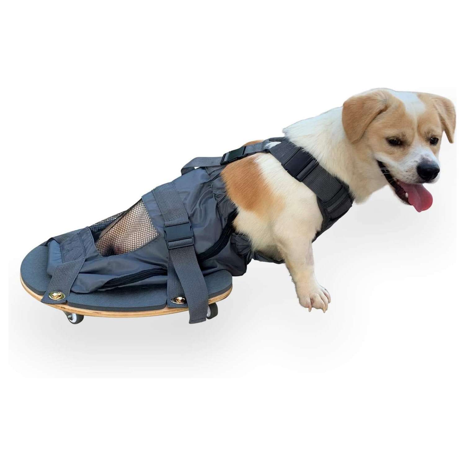 Scooter de movilidad y arrastre con cuatro ruedas silenciosas para perros con paralisis.