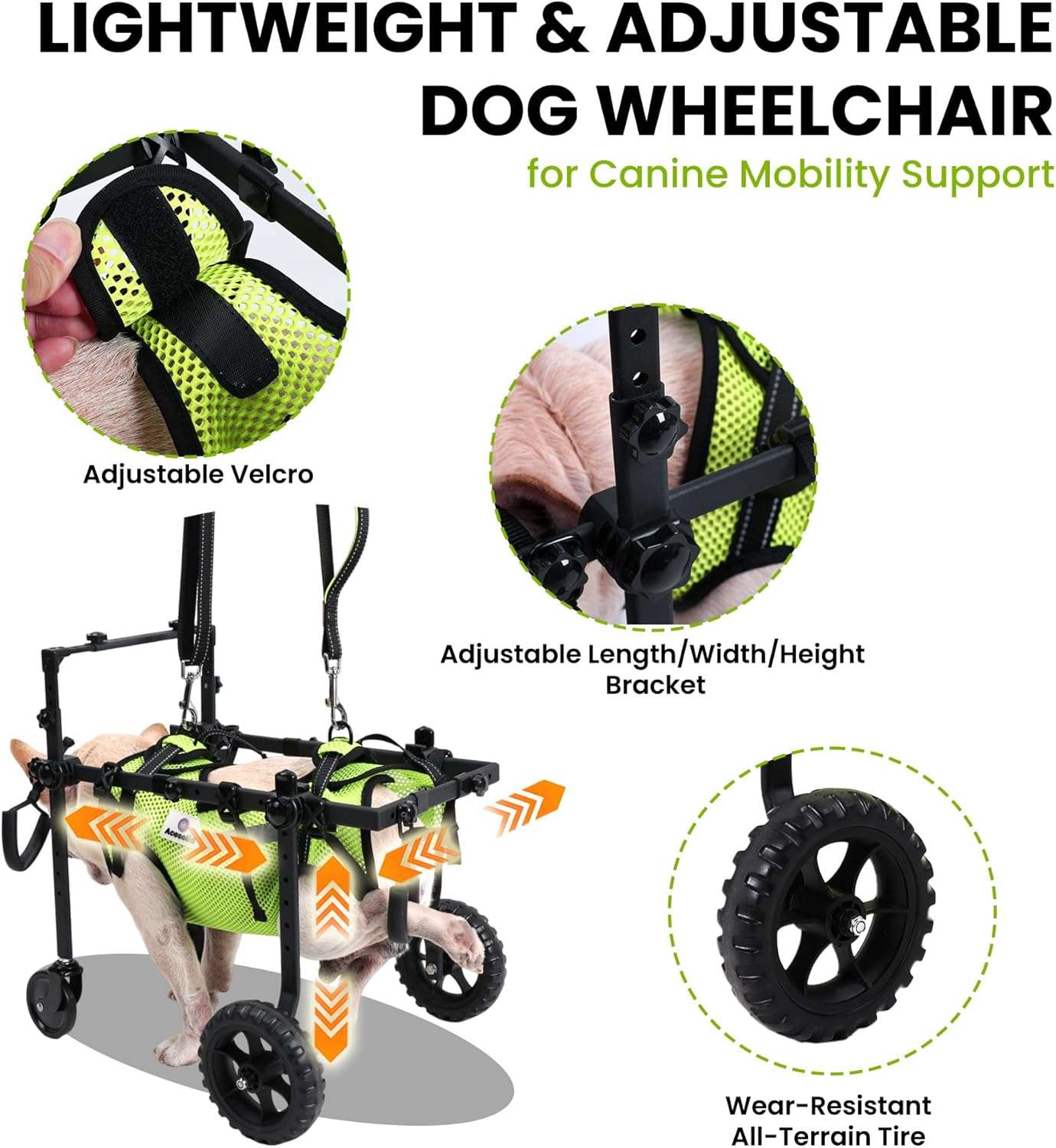Silla de ruedas de cuatro puntos ultraligera y ajustable para perros con chaleco reflectante.