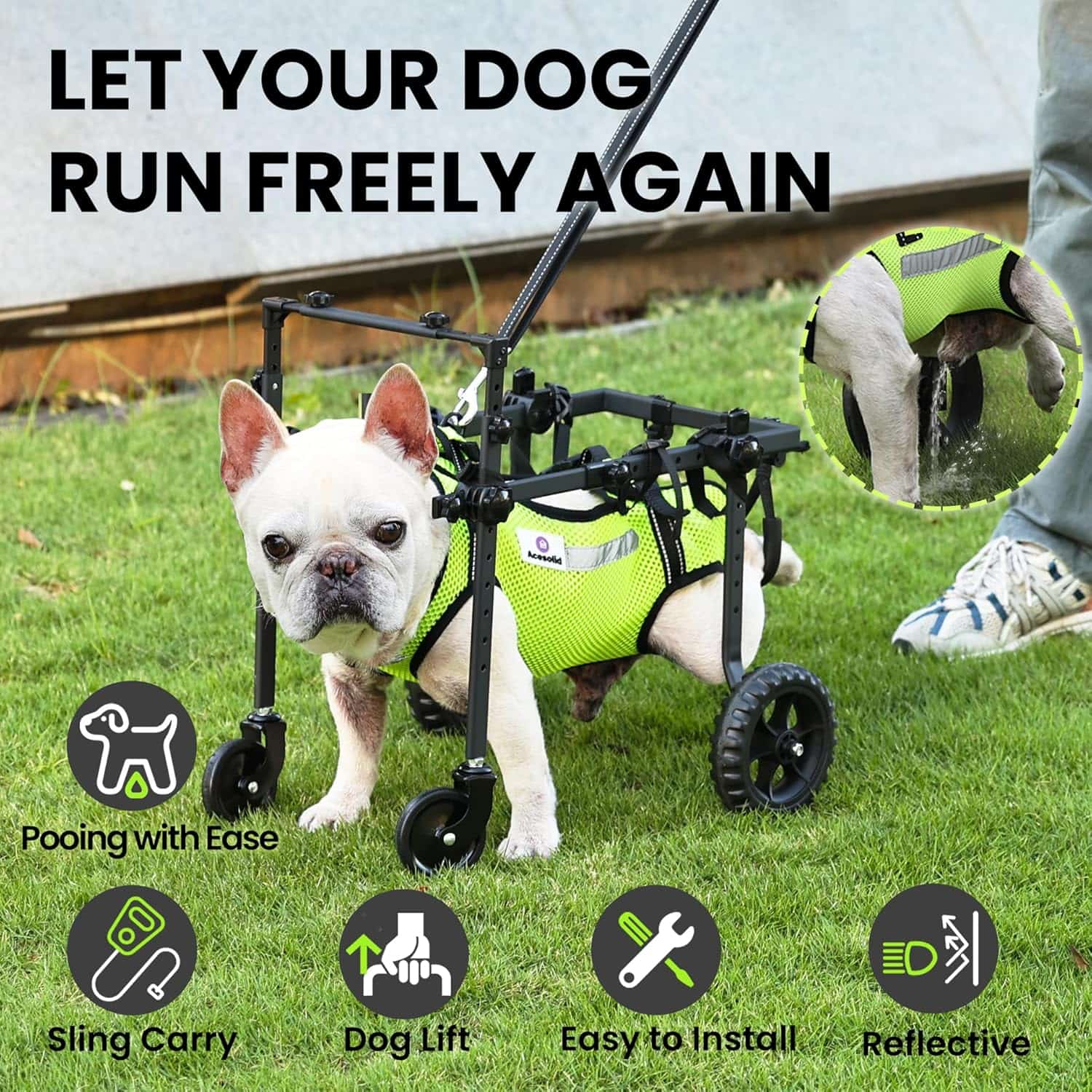 Silla de ruedas de cuatro puntos ultraligera y ajustable para perros con chaleco reflectante.