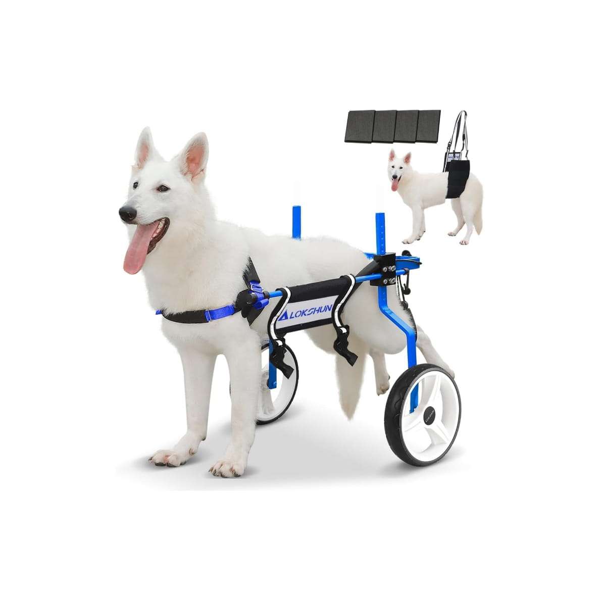 Silla ruedas perro grande reforzada metal macizo ruedas 30cm soporte 70kg pastor aleman