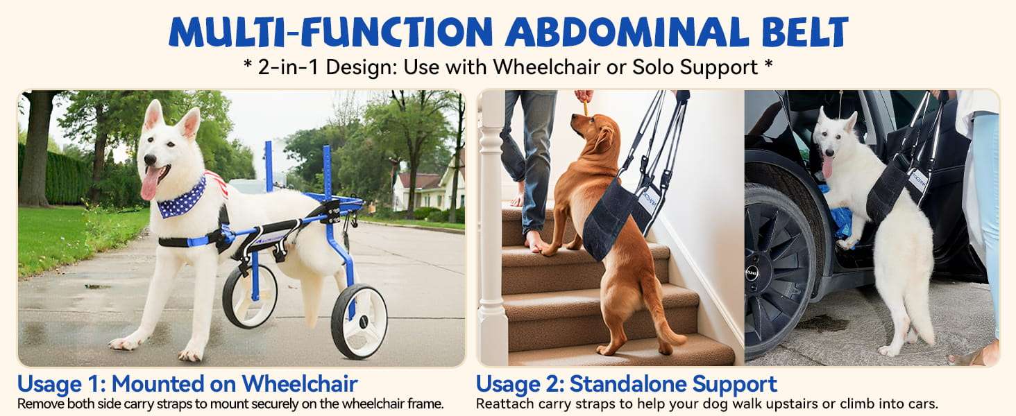 Silla ruedas perro grande reforzada metal macizo ruedas 30cm soporte 70kg pastor aleman