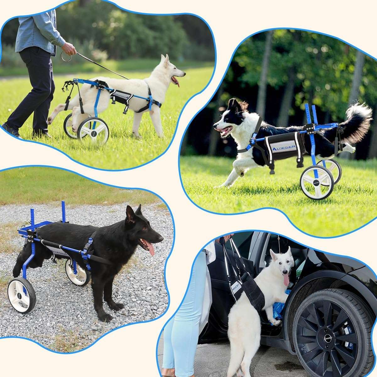 Silla ruedas perro grande reforzada metal macizo ruedas 30cm soporte 70kg pastor aleman