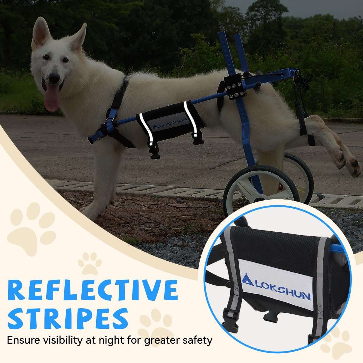 Silla ruedas perro grande reforzada metal macizo ruedas 30cm soporte 70kg pastor aleman