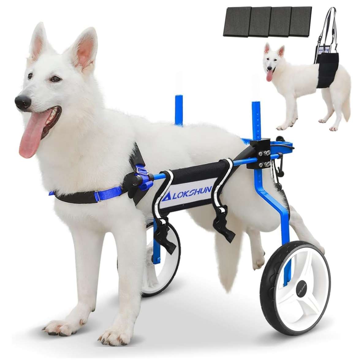 Silla ruedas perro grande reforzada metal macizo ruedas 30cm soporte 70kg pastor aleman