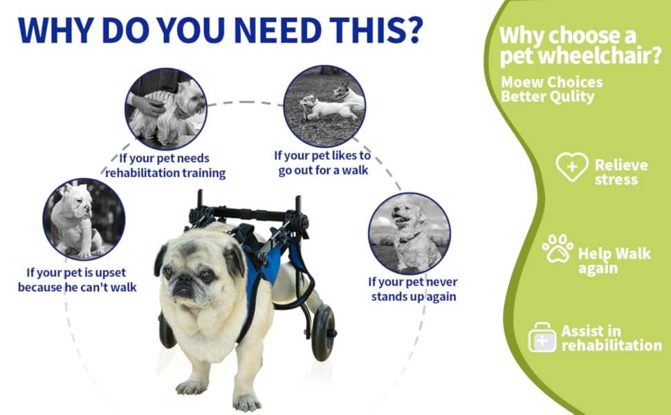 Silla ruedas perro soporte malla abdominal ajustable aluminio ligero patas traseras