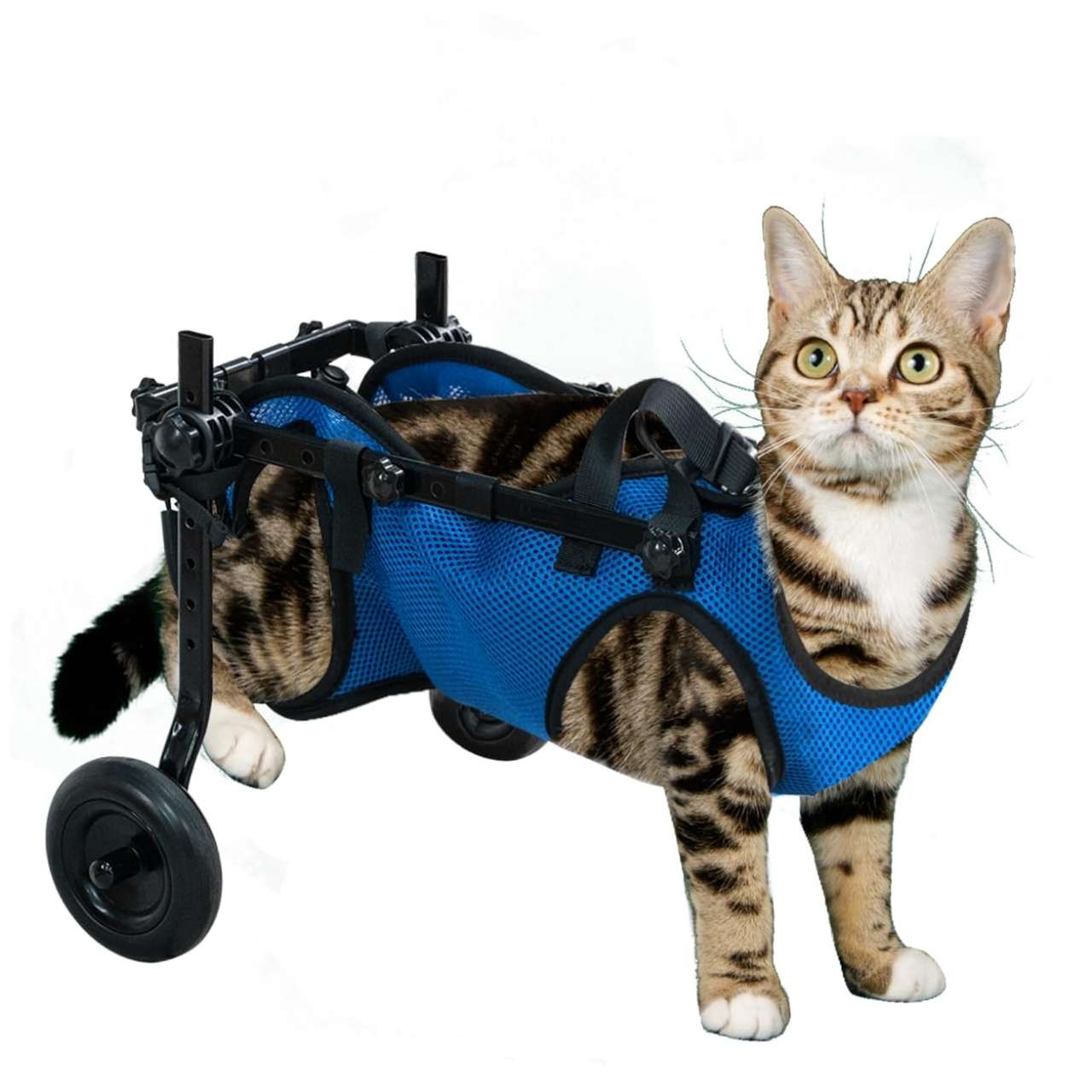 Silla ruedas perro soporte malla abdominal ajustable aluminio ligero patas traseras