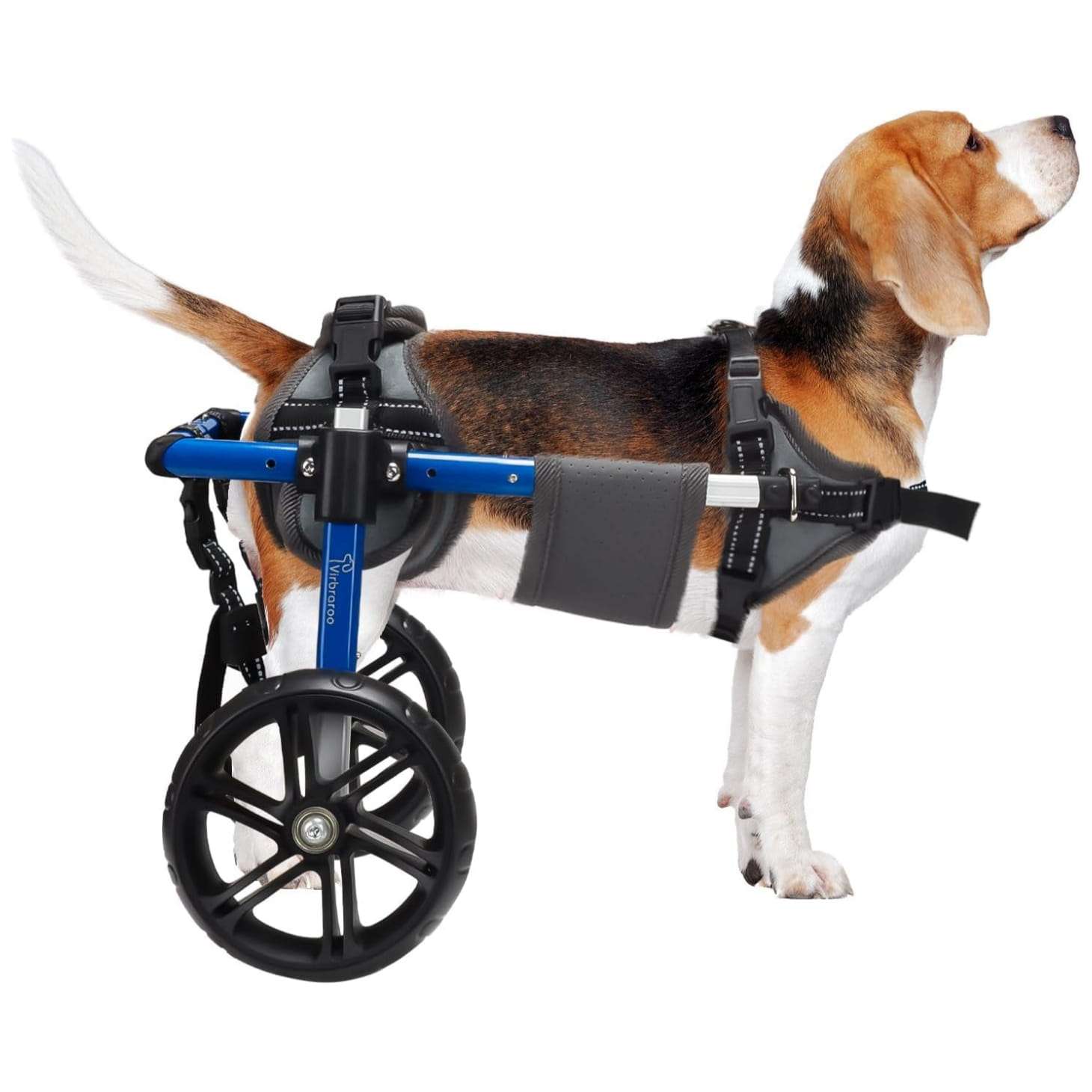 Silla de ruedas de aluminio para perros pequeños con rodamientos silenciosos y arnes suave.
