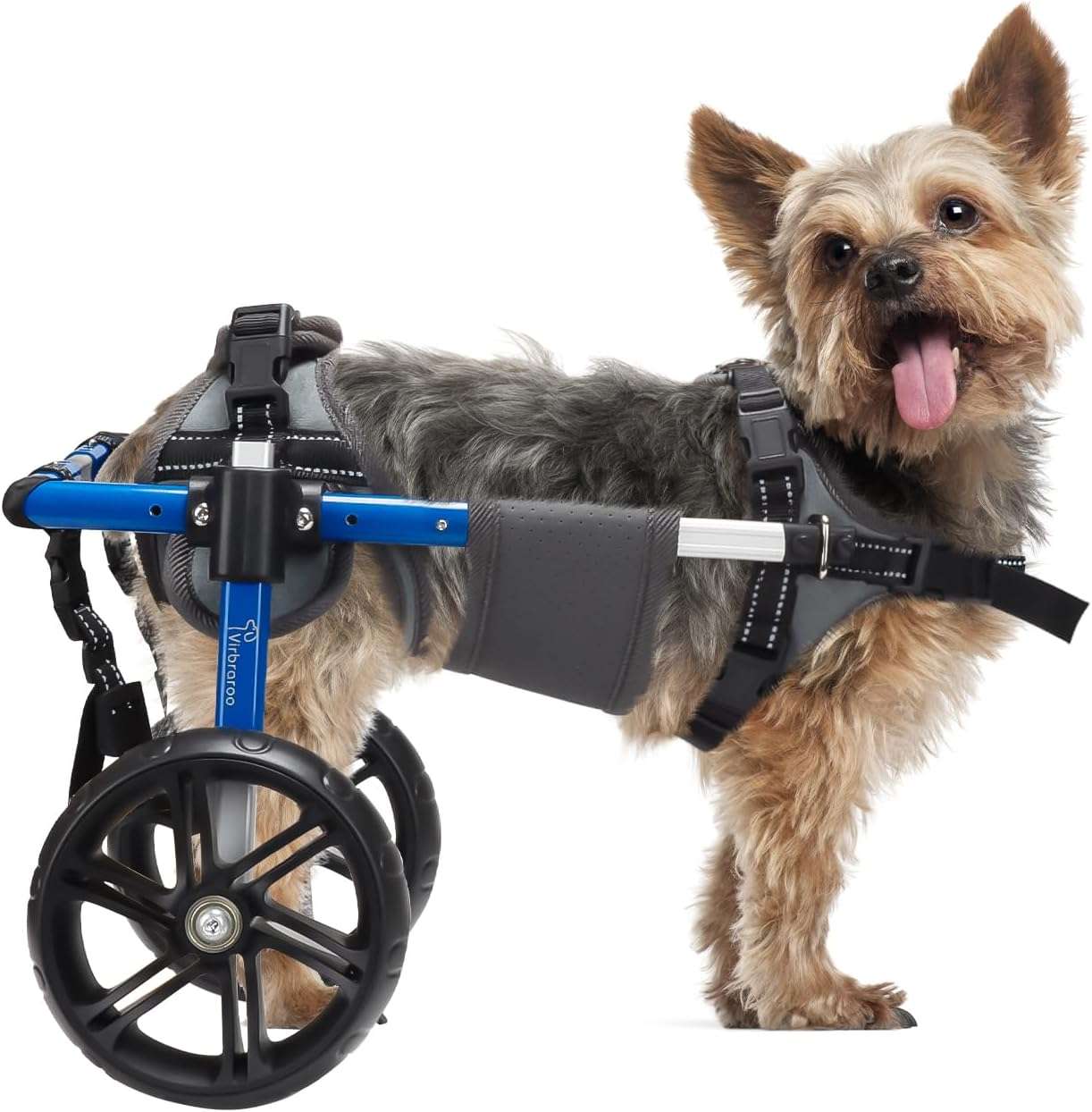 Silla de ruedas de aluminio para perros pequeños con rodamientos silenciosos y arnes suave.