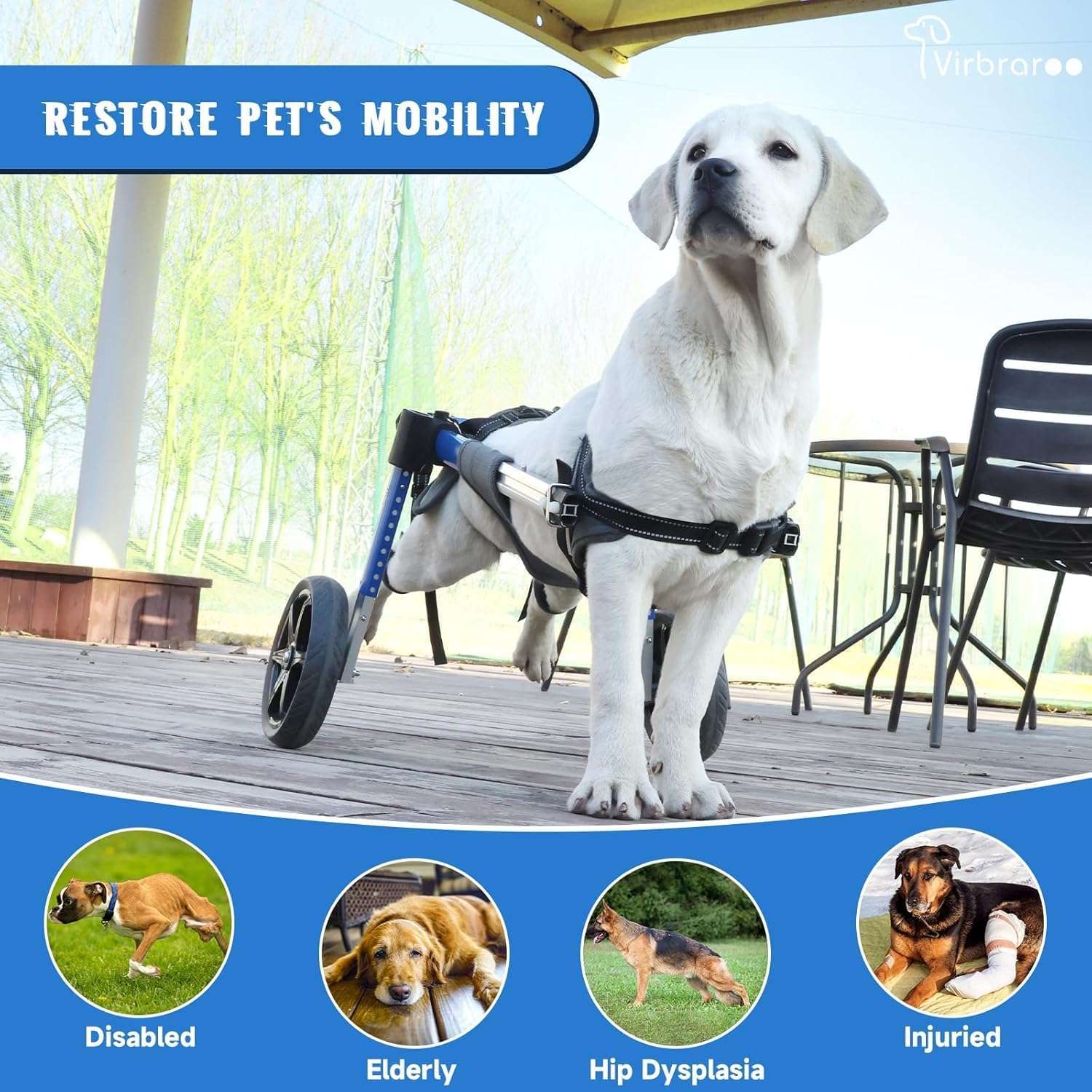 Silla de ruedas de aluminio para perros pequeños con rodamientos silenciosos y arnes suave.
