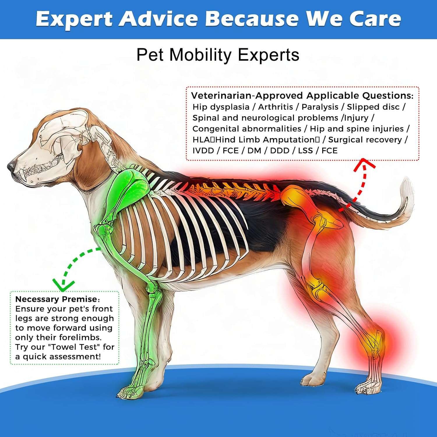 Silla ruedas perro pequeño rodamientos precision todo terreno aluminio aeronautico soporte espinal