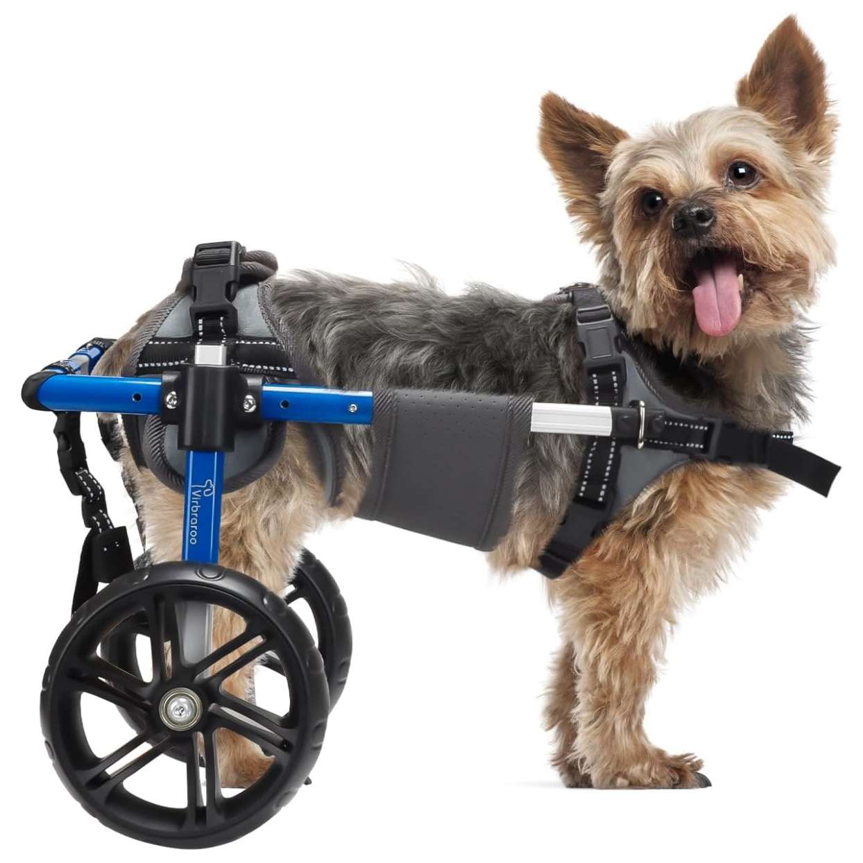 Silla ruedas perro pequeño rodamientos precision todo terreno aluminio aeronautico soporte espinal