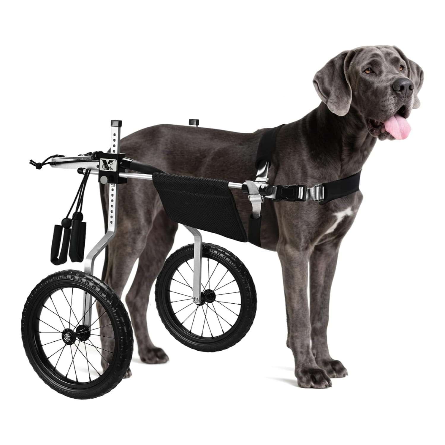 Silla ruedas perro todo terreno aluminio aeronautico soporte espinal L XL XXL playa cerro