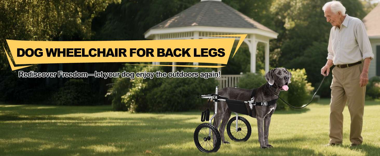 Silla ruedas perro todo terreno aluminio aeronautico soporte espinal L XL XXL playa cerro