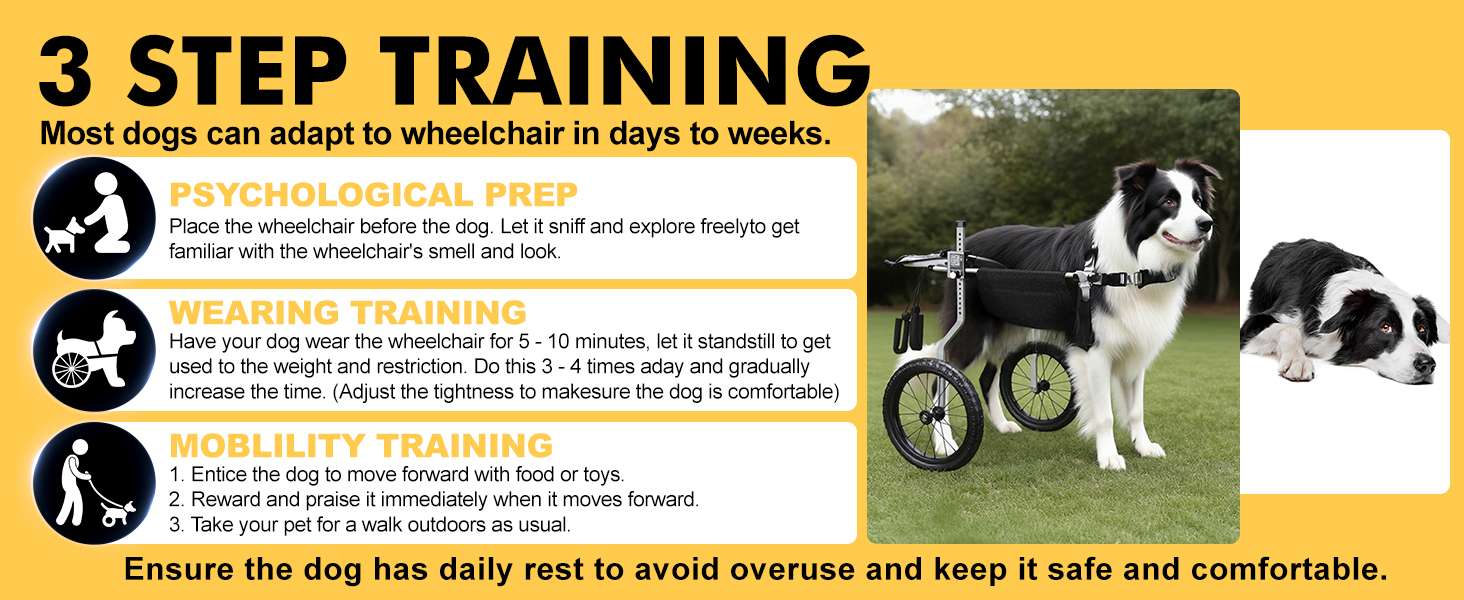 Silla ruedas perro todo terreno aluminio aeronautico soporte espinal L XL XXL playa cerro