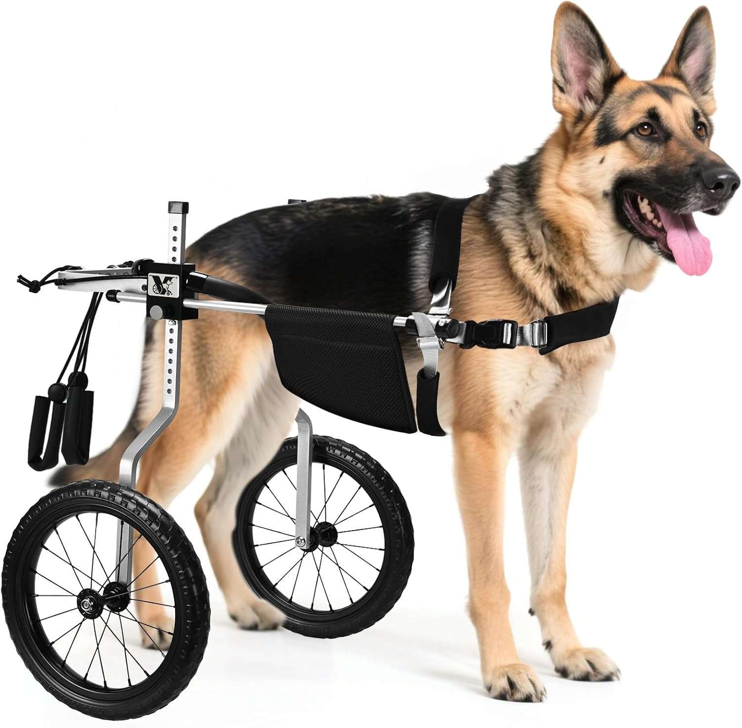 Silla ruedas perro todo terreno aluminio aeronautico soporte espinal L XL XXL playa cerro