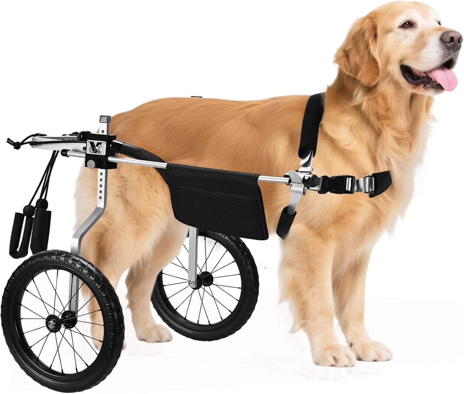Silla ruedas perro todo terreno aluminio aeronautico soporte espinal L XL XXL playa cerro