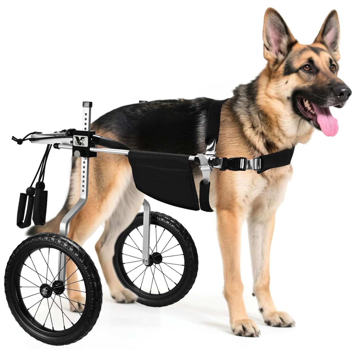 Silla ruedas perro todo terreno aluminio aeronautico soporte espinal L XL XXL playa cerro