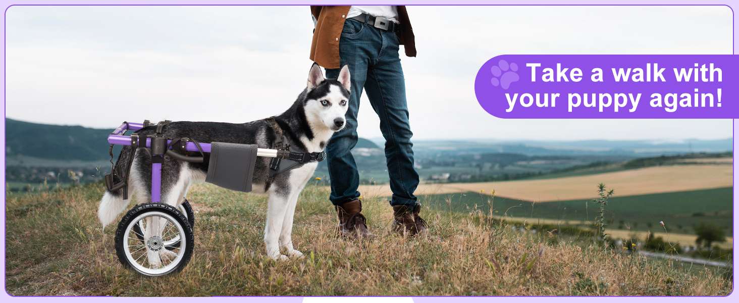 Silla ruedas perro grande todo terreno neumaticos 30cm aluminio aeronautico displasia cadera