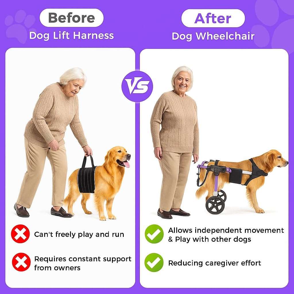 Silla ruedas perro grande todo terreno neumaticos 30cm aluminio aeronautico displasia cadera