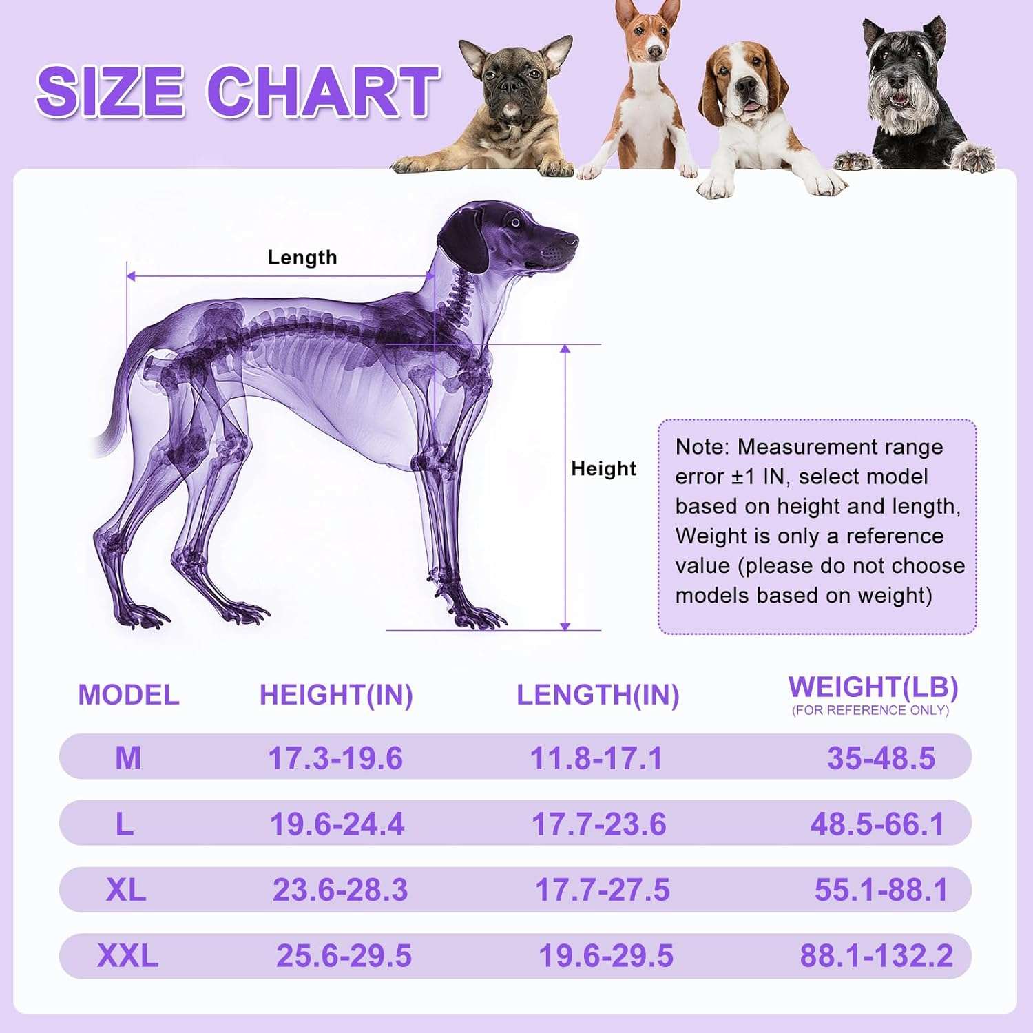 Silla ruedas perro grande todo terreno neumaticos 30cm aluminio aeronautico displasia cadera