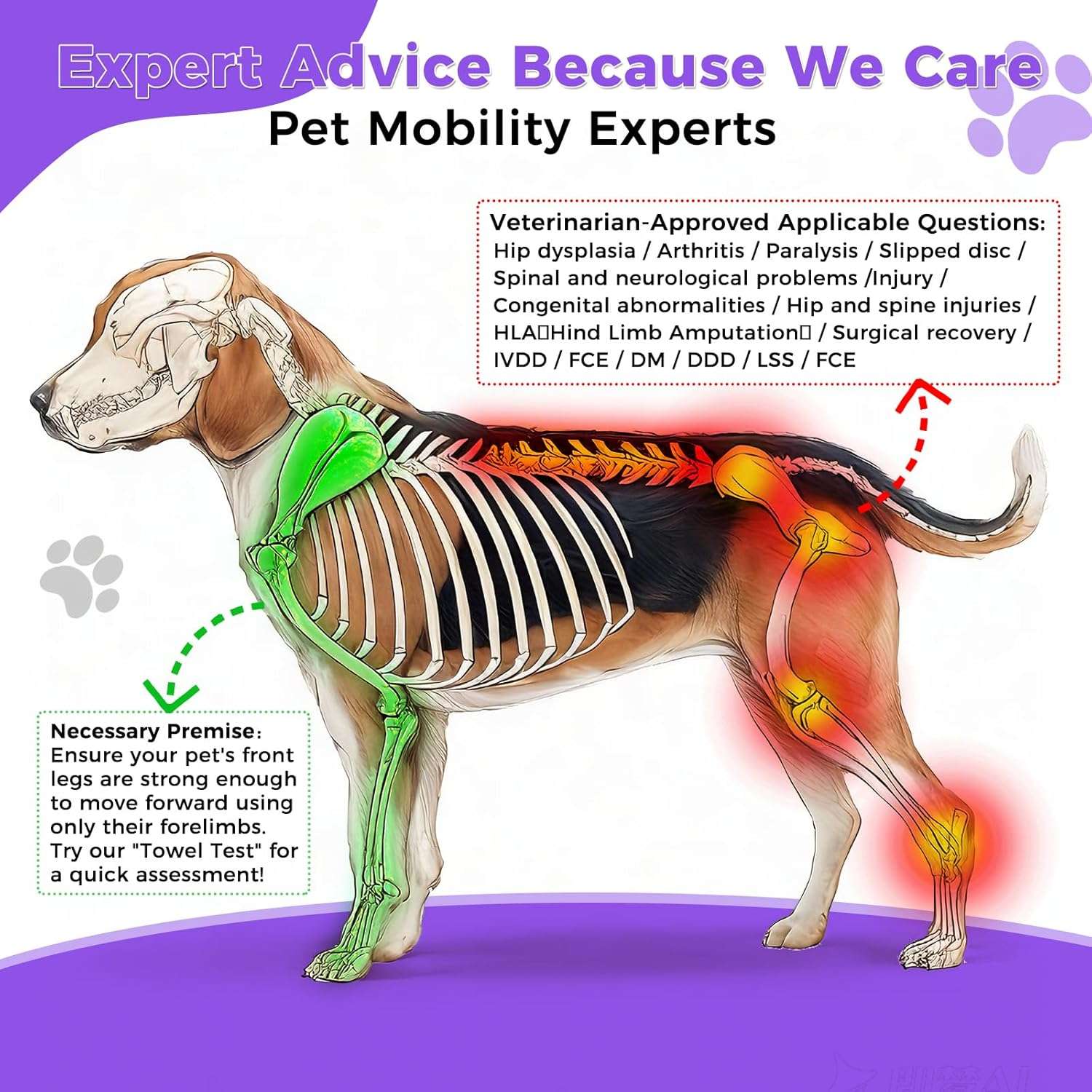 Silla ruedas perro grande todo terreno neumaticos 30cm aluminio aeronautico displasia cadera