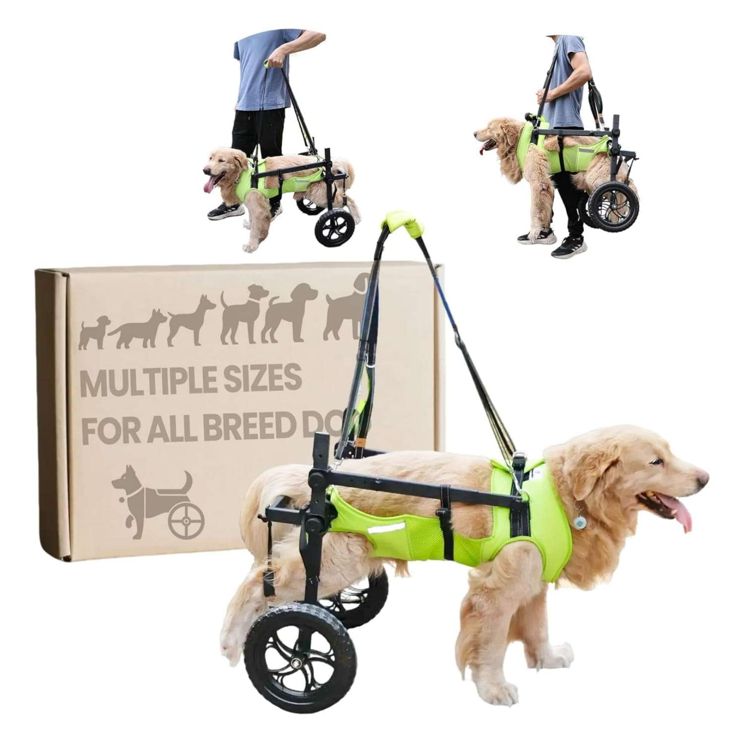 Silla de ruedas para perros con chaleco reflectante ruedas todoterreno y arnes de elevacion.