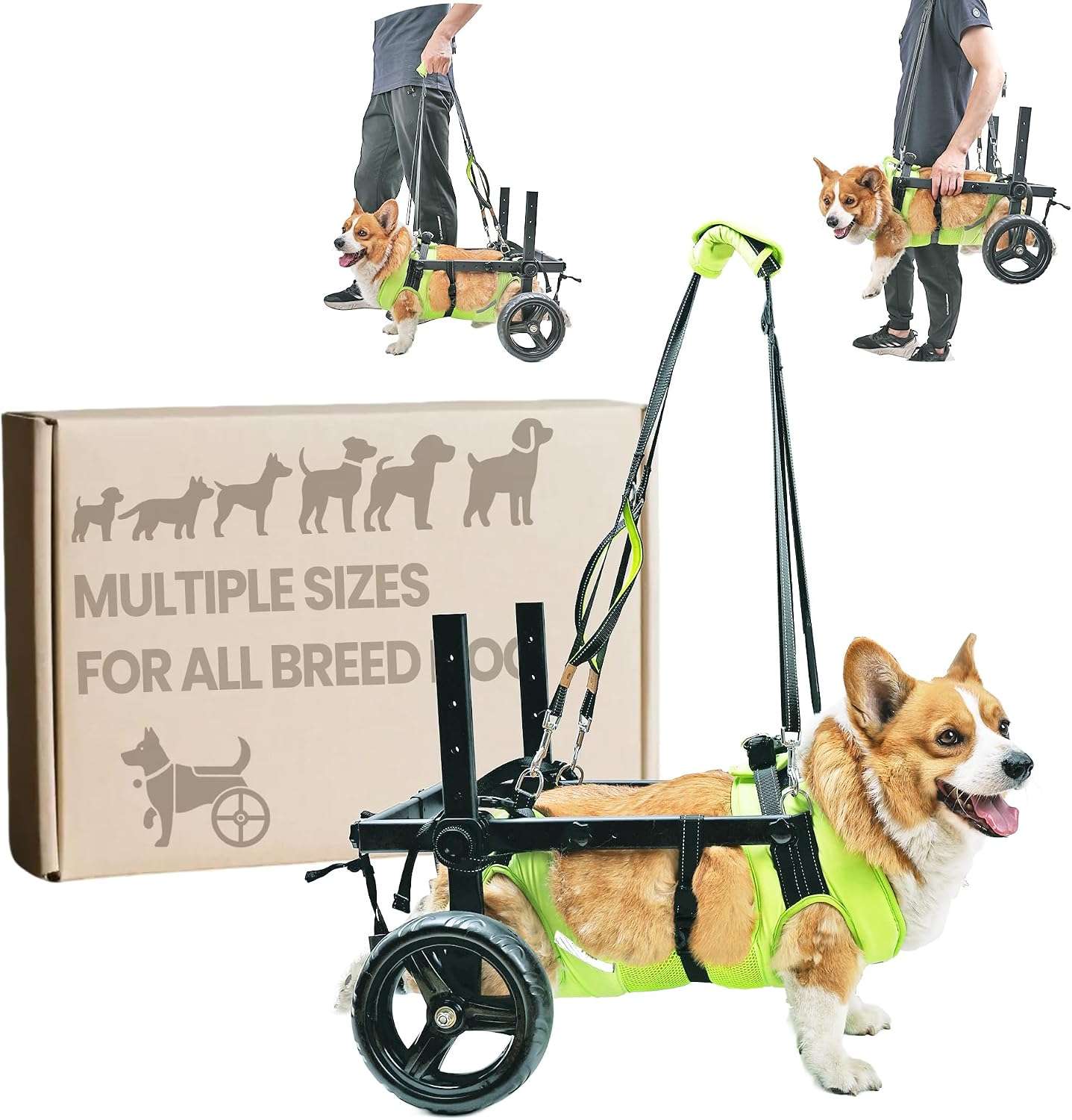 Silla de ruedas para perros con chaleco reflectante ruedas todoterreno y arnes de elevacion.