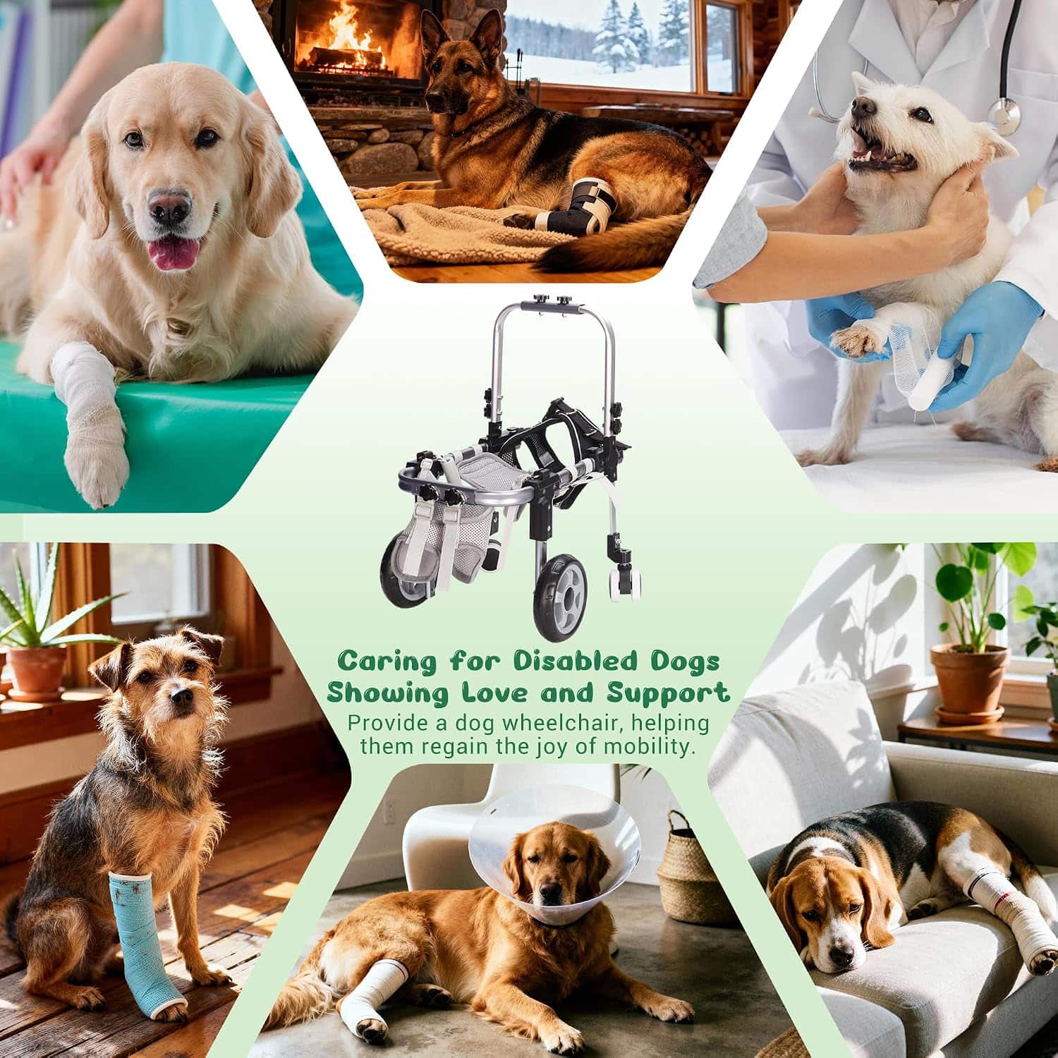 Silla ruedas perro aluminio aviacion ajustable patas traseras carrito ortopedico rehabilitacion