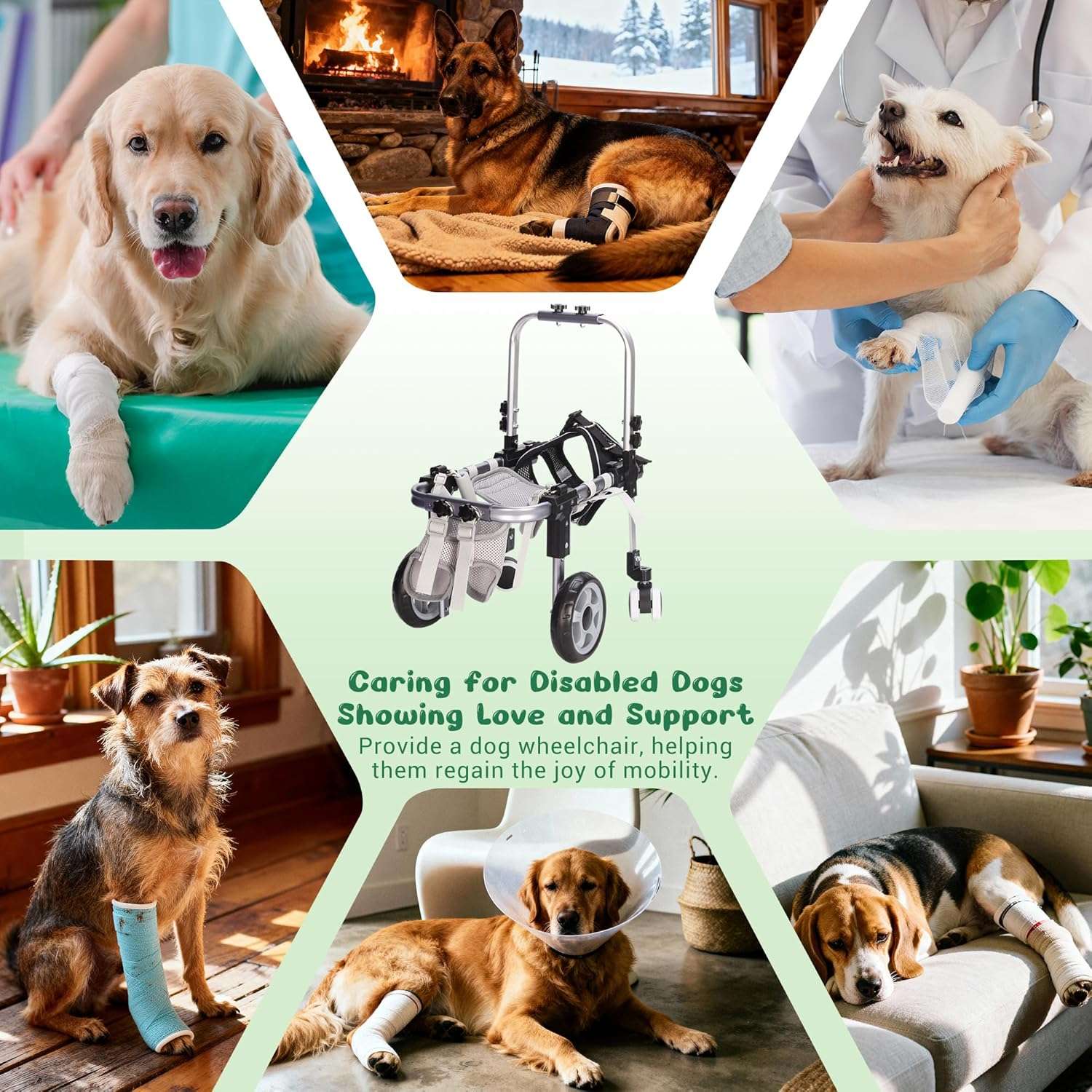 Silla ruedas perro aluminio aviacion ajustable patas traseras carrito ortopedico rehabilitacion