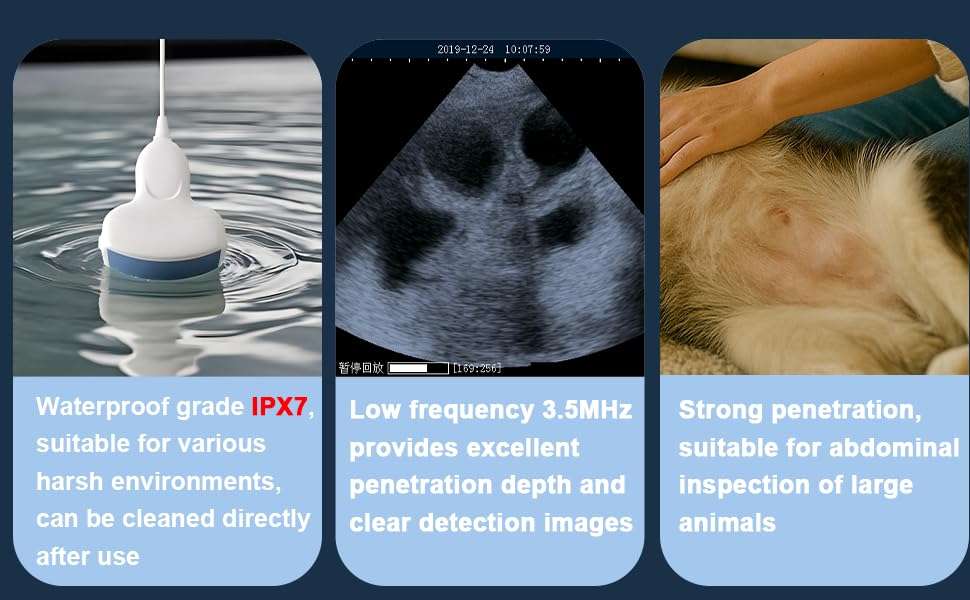 Sonda convexa veterinaria 3.5 mhz ecografia abdominal embarazo perros ovejas cerdos