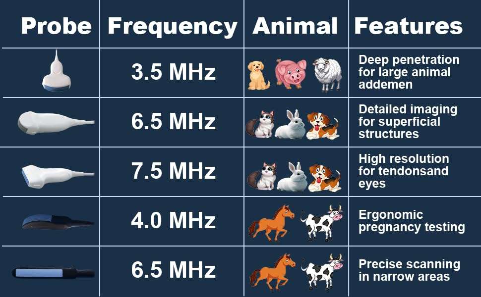 Sonda convexa veterinaria 3.5 mhz ecografia abdominal embarazo perros ovejas cerdos